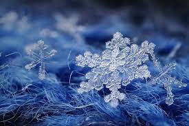 hd wallpaper snowflakes macro