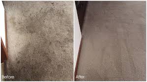 carpet cleaning denver carpet cleaners