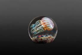 Luminous Glass Blown Jellyfish Appear