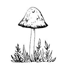 Do you know how to get rid of mushrooms in the grass? Poisonous Mushroom At Grass Ink Pen Drawing Vintage Style Botanical Mushroom Drawing Ink Pen Drawings Drawings