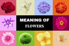 flowers used in flower bouquets