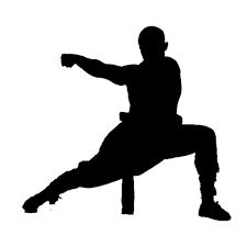 All about skill: The art of martial arts | Art Of | azdailysun.com