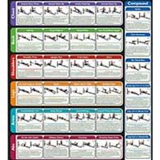 Methodical Weider Ultimate Body Works Workout Chart Weider