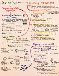   pages Cell Biology Homework Questions Chapter  