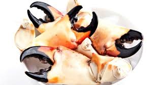 Once the water is boiling, quickly place the claws in the pot and replace the cover. How To Cook Stone Crab Claws Properly 3 Easy Ways You Should Know Donaskitchen Com