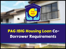 pag ibig housing loan co borrower