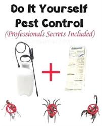 Their specialists may be found at 827 8th st, in vero beach for all curious consumers. Pin On Pest Control Roaches