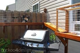 11 diy catio plans you can build today