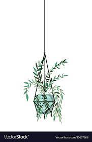 Houseplant On Macrame Hangers Icon