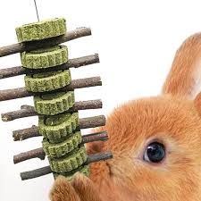 cocoo rabbit apple sticks dental chew