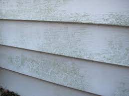 how to get green mold off siding