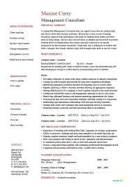 IT Consultant Resume Sample it consulting resume sample Template net