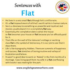 sentence in english sentences for flat