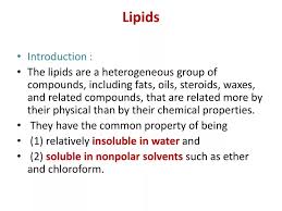 ppt lipids powerpoint presentation