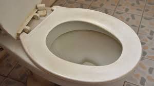 banish toilet seat stains with a handy