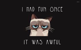 grumpy cat wallpaper meme wallpapers