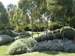Austraian Native Garden Design Ideas