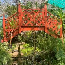 seaforde gardens and tropical erfly