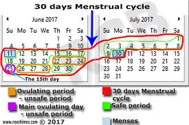 Menstrual Cycle And Ovulation Period Made Easy To