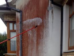 how to remove red algae on render