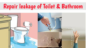 repair leakage of toilets and bathrooms