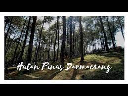 Смотреть видео про deni anggoleta. Wisata Hutan Pinus Batu Cakra Darmacaang Ciamis Jawa Barat Tempat Indah Di Kaki Gunung Sawal Youtube