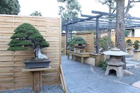 david benavente s garden bonsai empire
