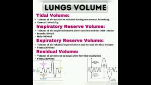 lung volume definitions you