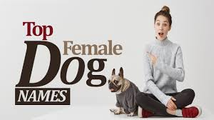 female dog names in english voary