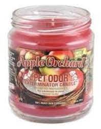 Coconut grove odor eliminator candle. Odor Exterminator Candle Apple Orchard Pet In The City