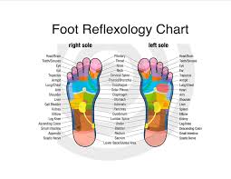 Diagram Of Bottom Of Foot For Reflexology Wiring Diagram