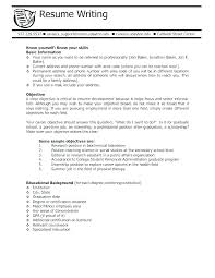 Example Objective For Resume Orlandomoving Co