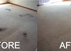 todds pro kleen carpet cleaning boise