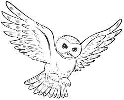 Livre de coloriage Owl Hedwig à imprimer et à mettre en ligne