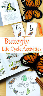 Sensory activities for children of all ages, including babies, toddlers, preschoolers. The Best Butterfly Life Cycle Activities For Kids Natural Beach Living