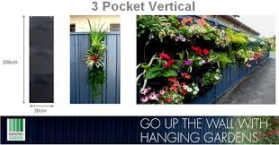How To Plant A Hanging Garden Hanging