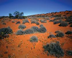 Simpson Desert Animals Plants Facts Britannica