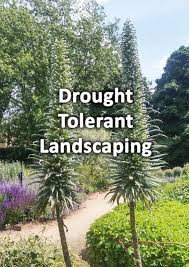 Drought Tolerant Landscaping A