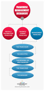 Franchise Management Structure Hierarchy Hierarchy Structure