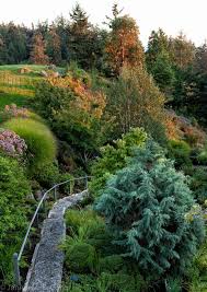 Pacific Northwest Hillside Garden