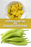 Are banana peppers and pepperoncini the same?