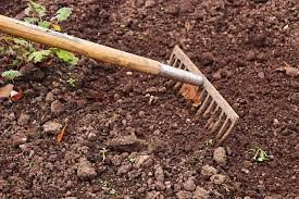 Guide To Gardening Tools What Tools Do