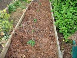 best mulch for vegetable gardens