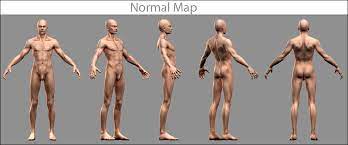 Anatomie nackt modell
