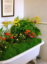 Container Garden Ideas With Old Bathtub