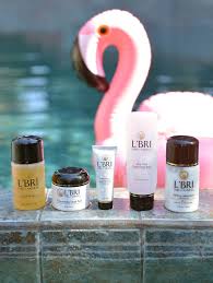 summer skincare for oily skin with l bri