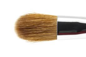 sonia kashuk um eye shadow brush no