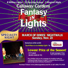 Night Walk At Fantasy In Lights To Raise Money For Healthier