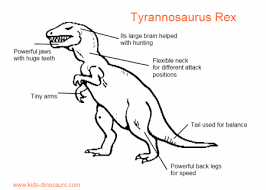 Dinosaur T Rex Facts Of Tyrannosaurus Rex Dinosaurs