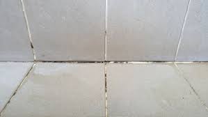How To Clean Dirty Unsealed Grout Slique